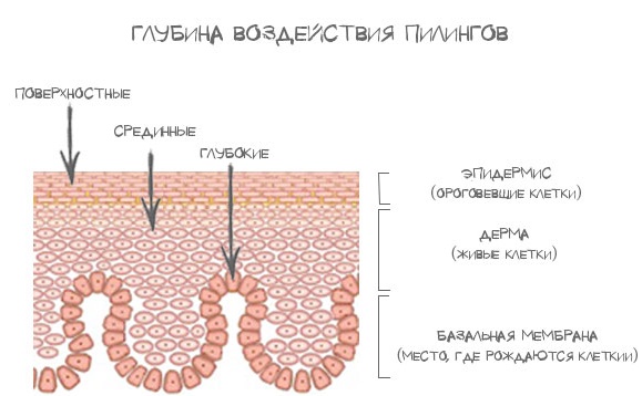 Skin care after face peeling: laser, chemical, fruit, glycolic, hardware, retinol, Jessner, yellow, TCA, bodyag, salicylic acid