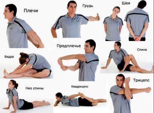 Exercises for the shoulders and joints with osteochondrosis and arthrosis. Physiotherapy exercises for women and men according to Bubnovsky