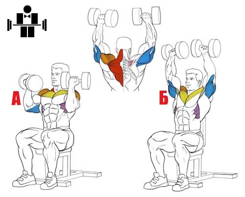 Exercises for the shoulders and joints with osteochondrosis and arthrosis. Physiotherapy exercises for women and men according to Bubnovsky