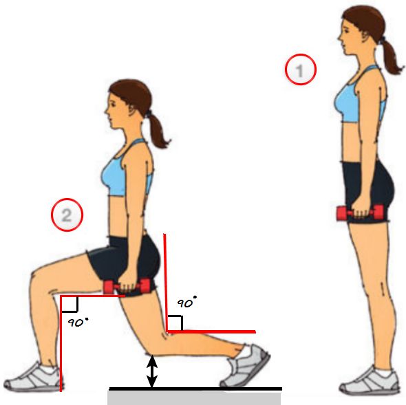 Esercizi per la stampa, gambe, glutei per ragazze a casa. Programma di allenamento, tabella