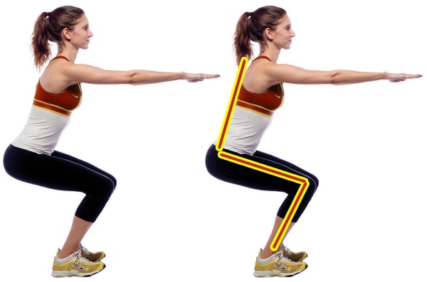 Exercises for the press, legs, buttocks for girls at home. Training program, table