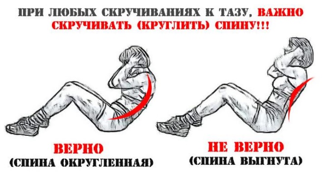 Exercises for the press, legs, buttocks for girls at home. Training program, table