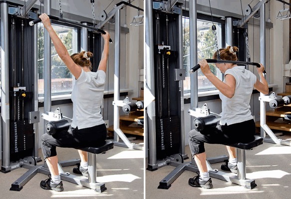 Back exercises in the gym for girls: basic, best, most effective