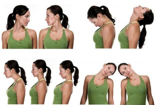 Back exercises in the gym for girls: basic, best, most effective