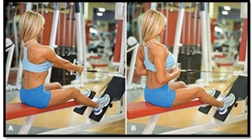 Back exercises in the gym for girls: basic, best, most effective