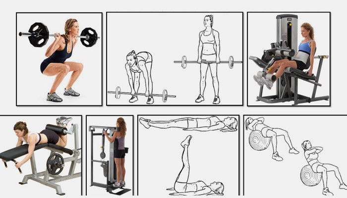 Back exercises in the gym for girls: basic, best, most effective