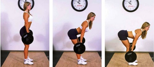 Back exercises in the gym for girls: basic, best, most effective