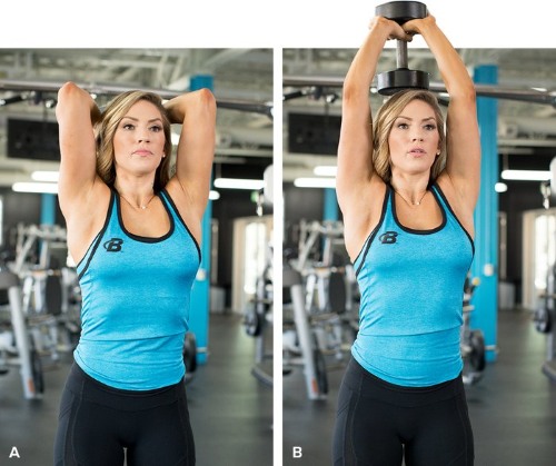 Back exercises in the gym for girls: basic, best, most effective