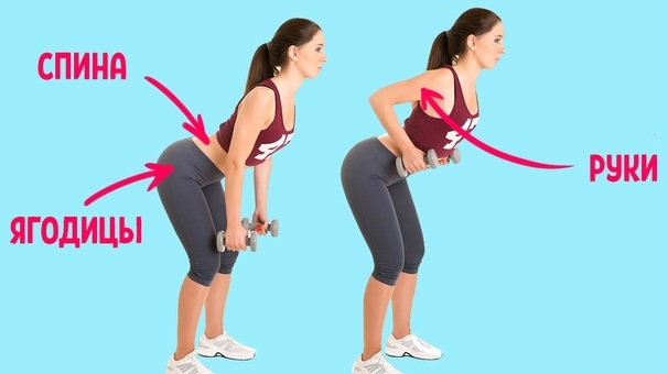 Esercizi per i glutei per ragazze a casa e in palestra: di base, con manubri, isolanti sulle gambe