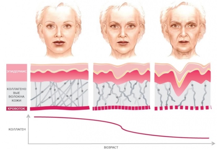 What products contain collagen for skin, joints, strengthening the body. Use and products table