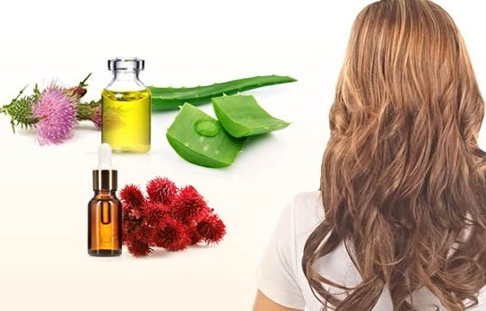 Revitalizing hair masks after coloring, lightening, ironing. Simple recipes for dry, oily and damaged hair, baldness