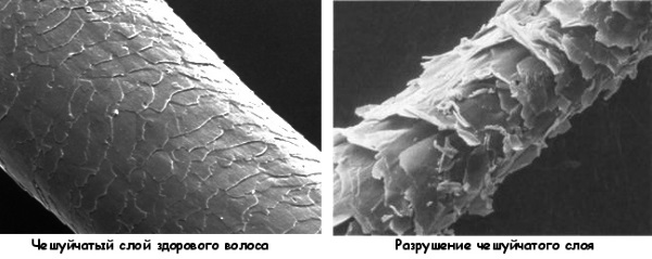 Balsami per capelli: tinta professionale, tonificante, balsamo balsamo, restitutivo, leave-in. Miglior punteggio