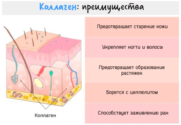 Fillers based on hyaluronic acid. Names, types, action, application effects, prices and reviews