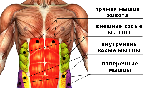 How to make a flat stomach and a thin waist, remove the sides quickly at home. Exercise, diet