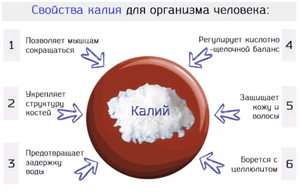 Potassium in the human body: its role, what is it for, what foods contain