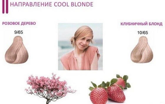 Hair color strawberry blond. Photo, who suits, paints, how to paint at home, how to achieve