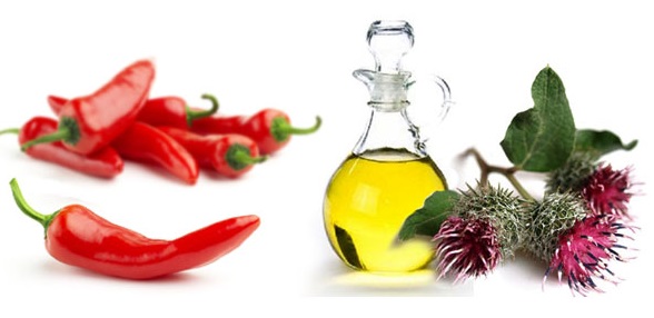 Maschera per la crescita dei capelli al peperoncino. Ricetta come si usa a casa, con cannella, olio di bardana