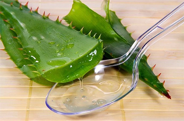 Aloe face masks anti-aging recipes for acne, wrinkles, blackheads and youthful skin