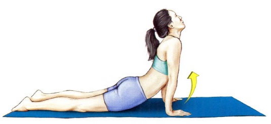 Stretching for beginners at home before, after training, for the back, twine, the whole body