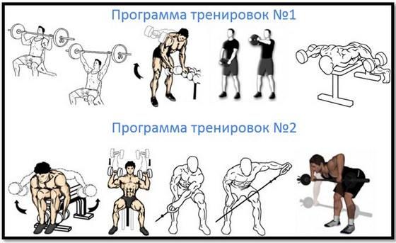 Exercises with dumbbells on the shoulders at home for men and women