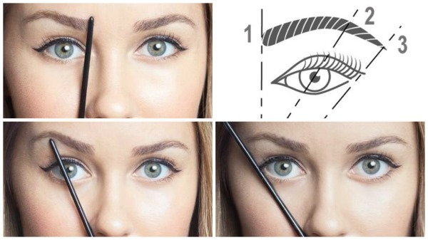 Eyebrow architecture - what is it, step-by-step instructions, schemes of correction, coloring, shaping at home