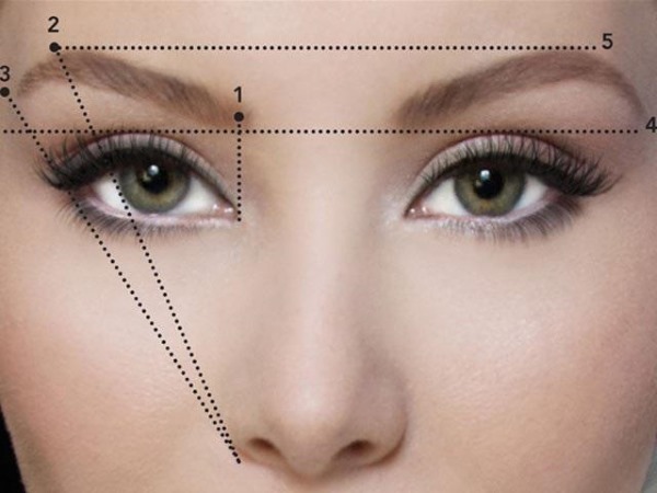 Eyebrow architecture - what is it, step-by-step instructions, schemes of correction, coloring, shaping at home