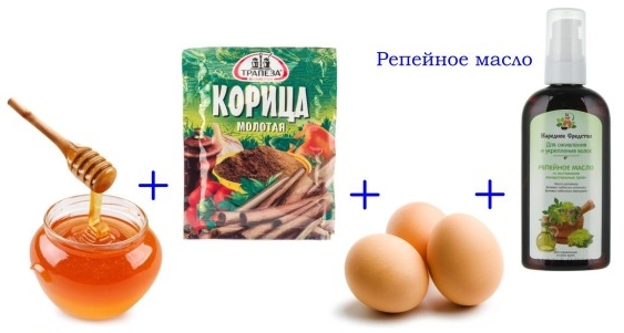 Maschere per capelli con olio di bardana. Ricette, regole per l'uso contro la caduta dei capelli e per la crescita