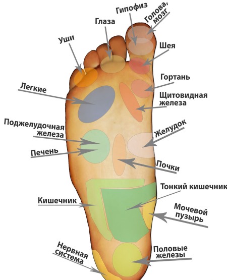 Foot massage technique: rules and video lessons. Learning in pictures with explanations: Thai, Chinese, spot