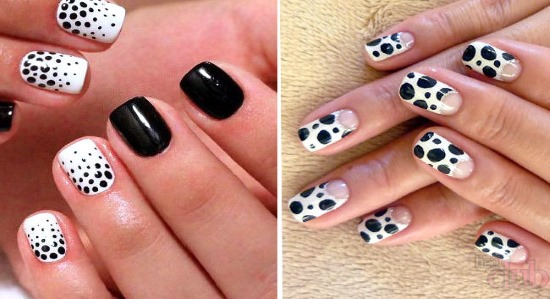 Black and white nails - french design, ombre, gradient, with rhinestones, broths, silver, gold. Novelties of manicure. A photo