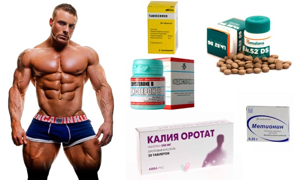 Anabolic steroids (drugs) for women and men: for muscle growth, weight loss. List of the most effective for drying the body, instructions on how to take