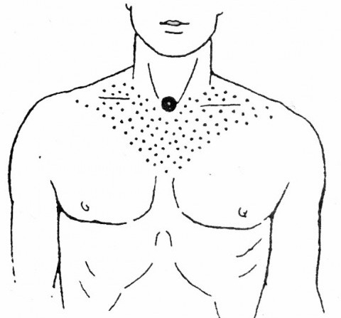 Biological active points on the human body that are responsible for organs. Acupuncture massage technique