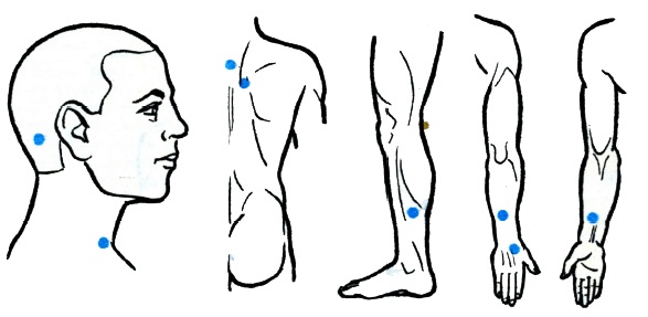 Biological active points on the human body that are responsible for organs. Acupuncture massage technique