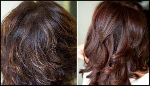 Hair tinting on dark hair after lightening, highlighting. Photo how to do it at home