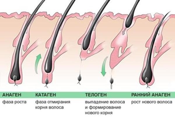 How to stop hair loss in women. Causes after childbirth, breastfeeding, after 40. Vitamins, diet, home treatment