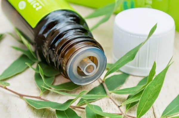 Tea tree essential oil, properties. Application for hair, teeth, face. With thrush, nail fungus, acne, warts, papillomas, inside