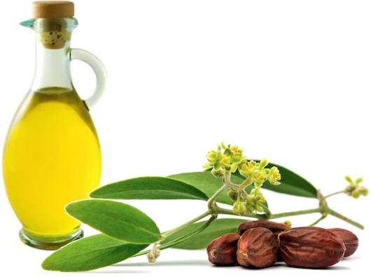 Tea tree essential oil, properties. Application for hair, teeth, face. With thrush, nail fungus, acne, warts, papillomas, inside