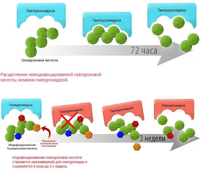 Gialripier Mesolift 02, 04, 06, 07, 08.La composizione del bioreparant, prezzo, recensioni di pazienti, cosmetologi