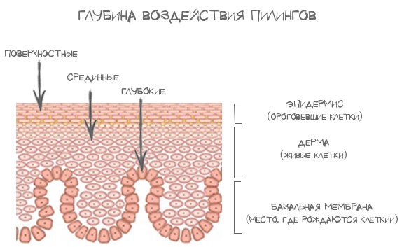 Deep cleansing of the face at home from blackheads, acne. How they do it, contraindications, photos, reviews and results