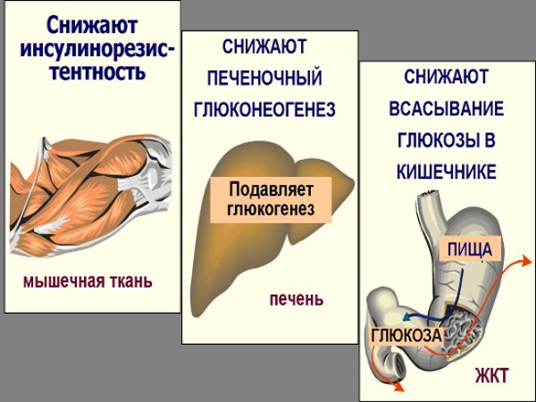 Glucophage. Gebrauchsanweisung, Regime zum Abnehmen, Preis, Bewertungen, Analoga