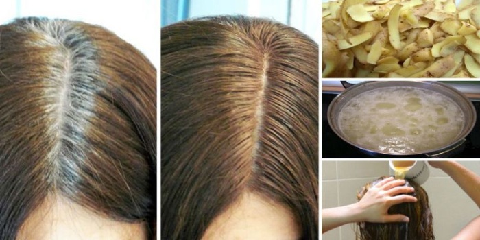 Come sbarazzarsi dei capelli grigi senza tingere i capelli con rimedi popolari, cognac. Vere ricette e miti