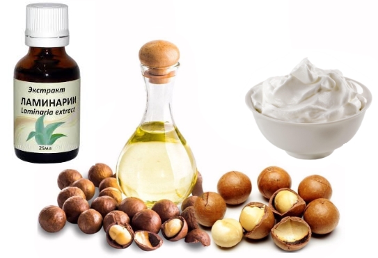 Macadamia oil properties, application and benefits for hair, face, hands, body, eyelashes, skin around the eyes, lips