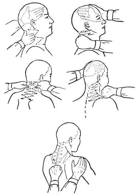 Massaggio alla testa e al collo per la crescita dei capelli, migliorando la circolazione sanguigna. Benefici, controindicazioni, migliori tecniche