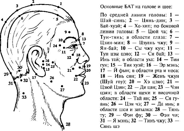 Head and neck massage for hair growth, improving blood circulation. Benefits, contraindications, best techniques