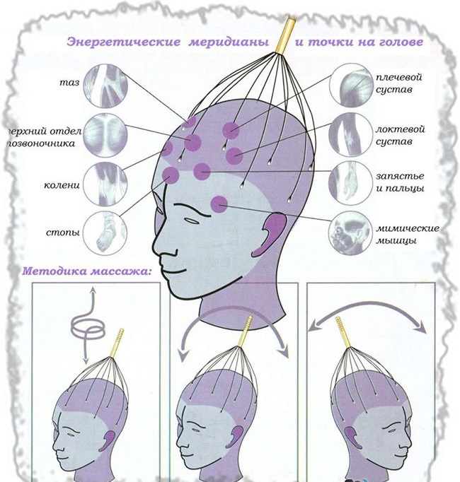 Massaggio alla testa e al collo per la crescita dei capelli, migliorando la circolazione sanguigna. Benefici, controindicazioni, migliori tecniche