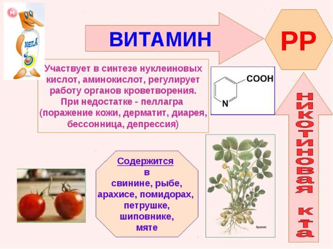 Acido nicotinico per capelli. Applicazione per la caduta e la crescita dei capelli. Metodi e istruzioni