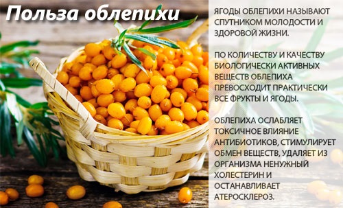 Sea buckthorn oil for hair and eyelashes. Benefits, medicinal properties, recipes for use in cosmetology