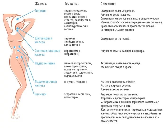 Pimples on the cheeks. The reasons for women, which organ is not in order, why it appears. Home treatment