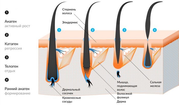 Means for the growth of eyelashes in pharmacies: oils, serums, biogel. How to strengthen eyelashes and improve their growth