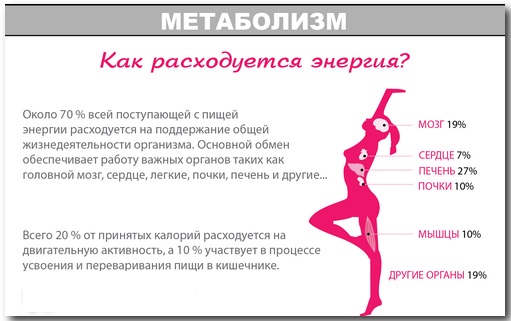 The daily rate of calories and BJU per day for a woman, man, teenager, pregnant woman. Rate for weight loss, muscle building