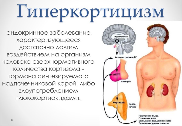 Triderm. Instructions for use. Price, analogues, reviews